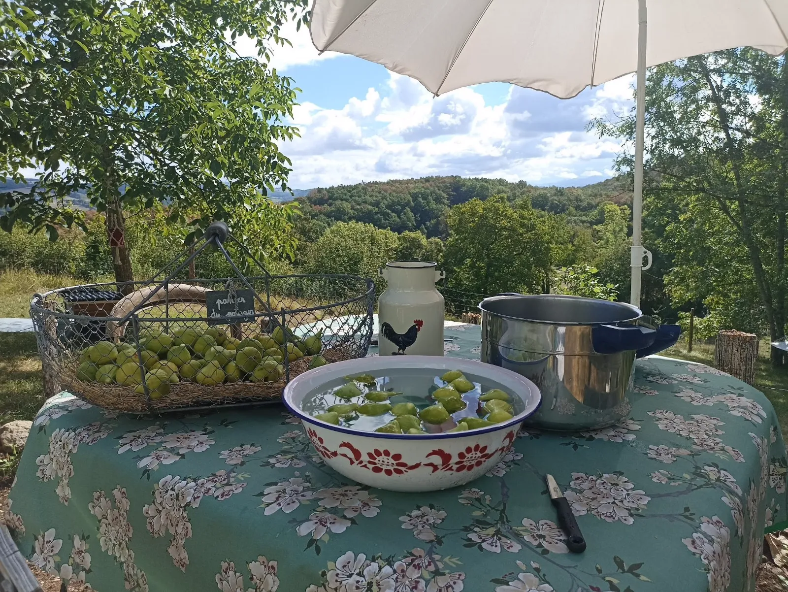 La Carlo du Clos Goutilles à Montjoie-en-Couserans, photo 2