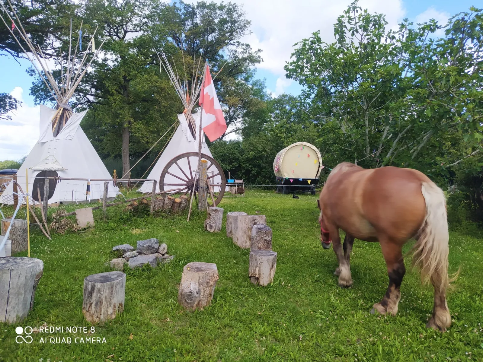 Chariot Ranger à Saint-Martial-sur-Isop, photo 3