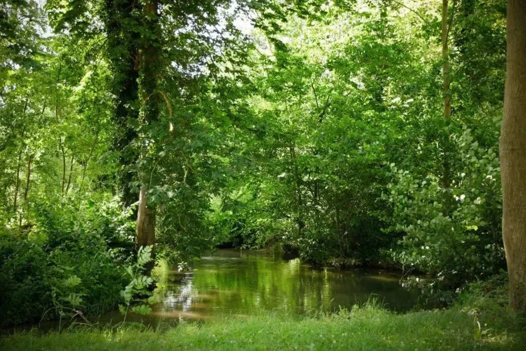 Étape de la Roulotte à Conty, photo 3