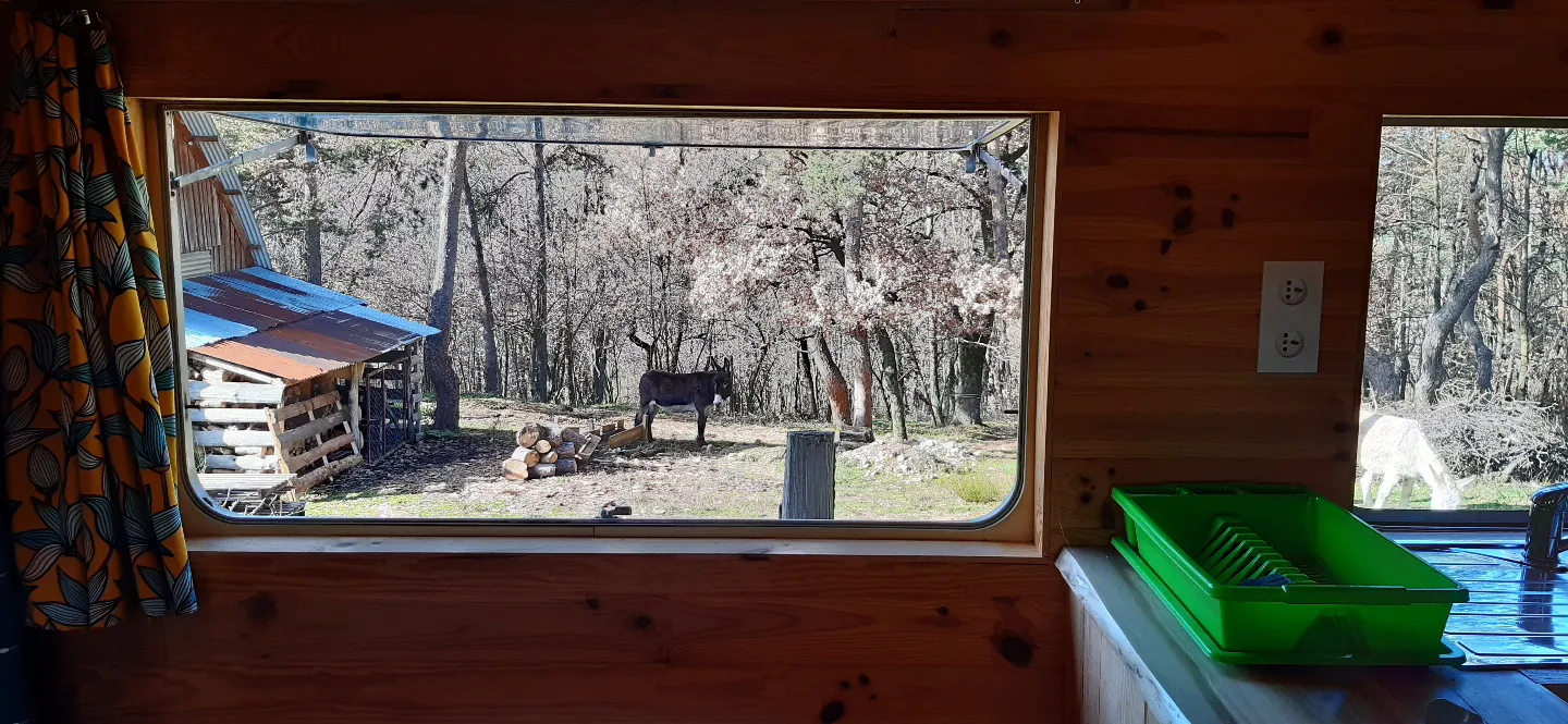 Grande caravane en sous-bois à Cheminas, photo 4