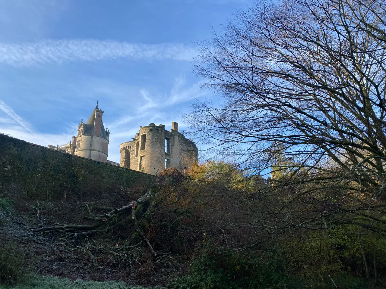 Mandoline, roulotte au château à Sèvremont, photo 4
