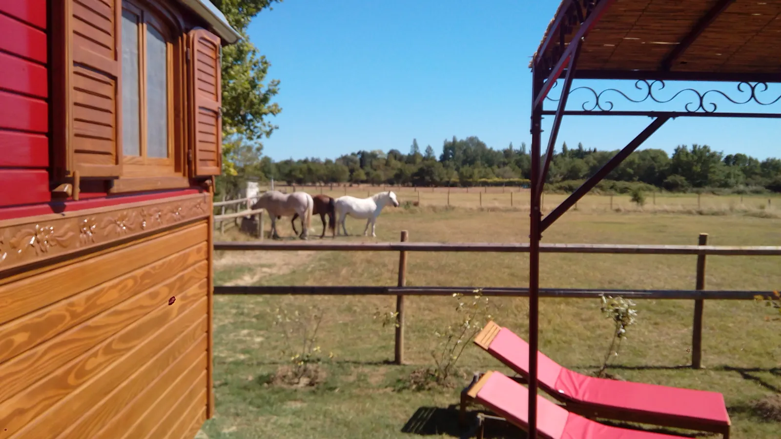 La Nanou'che en Camargue à Le Cailar, photo 4