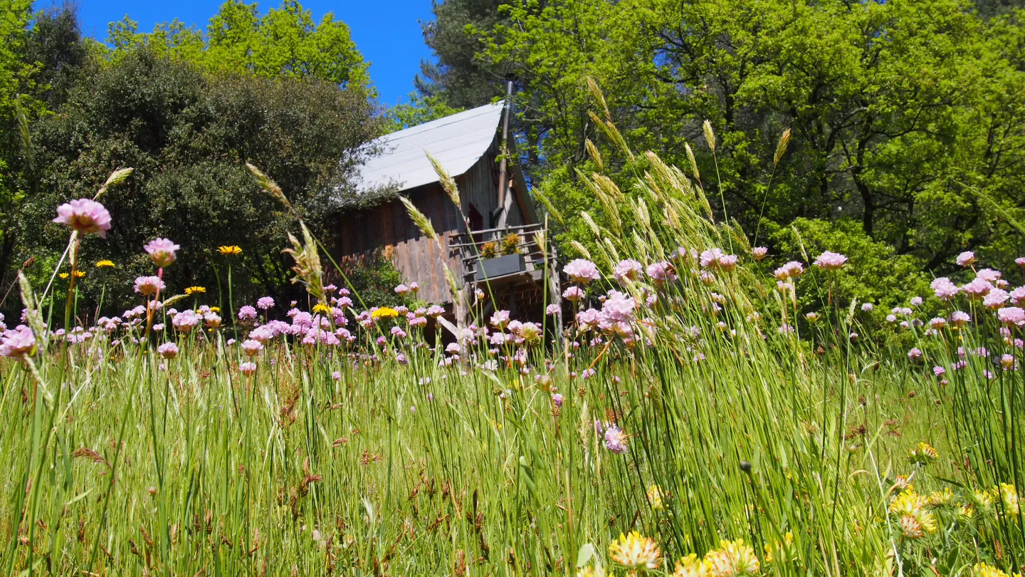 Roulotte au pied du chêne de Meyras à Meyras, photo 4