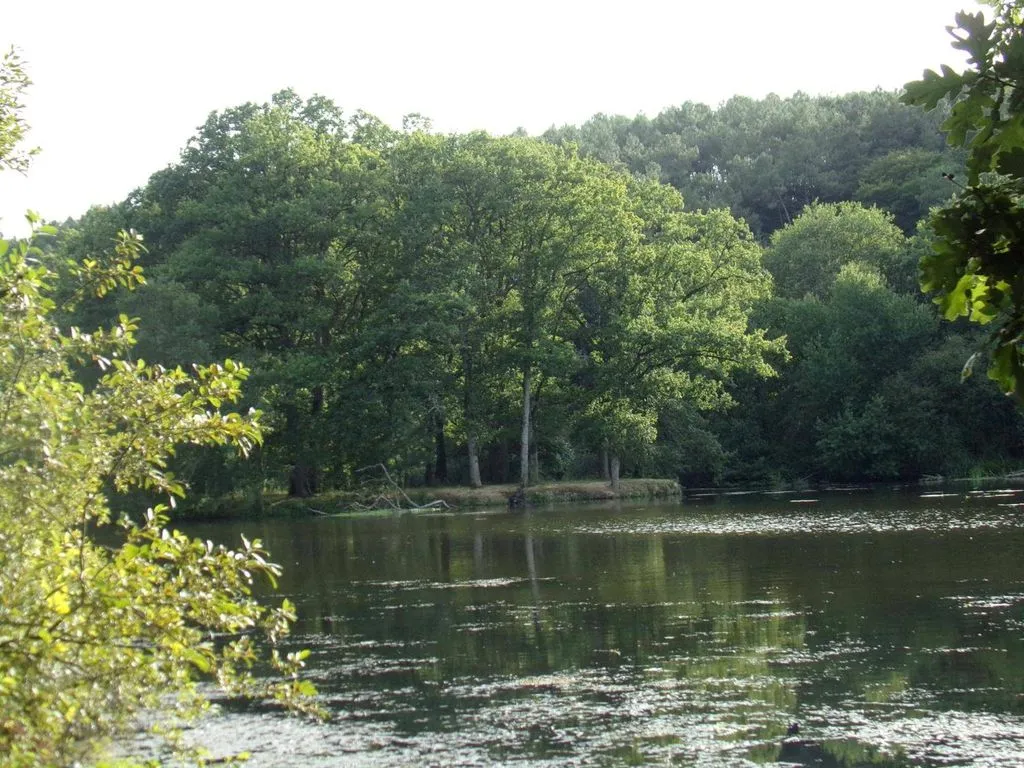 La Roulotte CHAINOUX à Bains-sur-Oust, photo 4