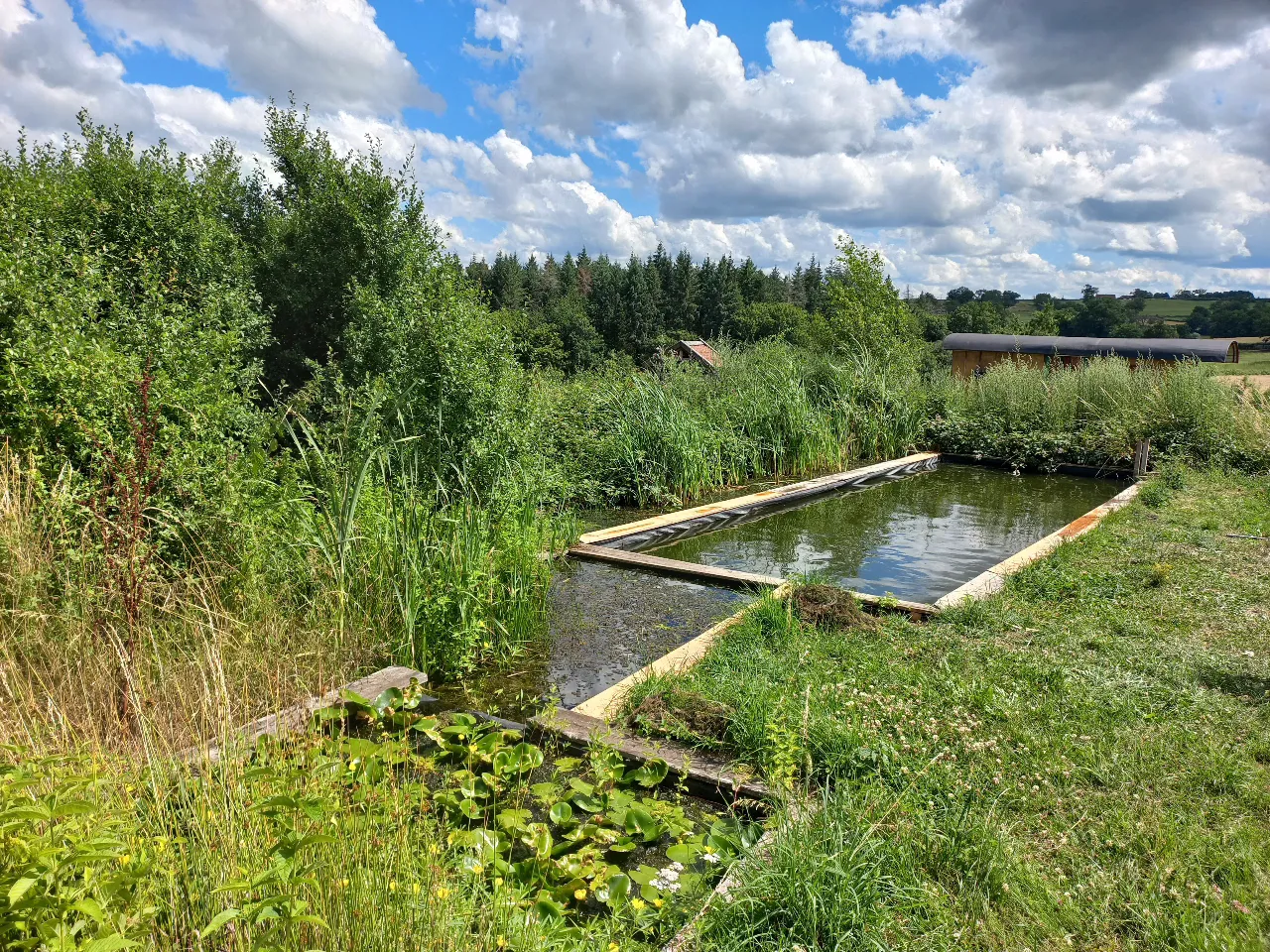 La roulotte de Brénazet à Vernusse, photo 2