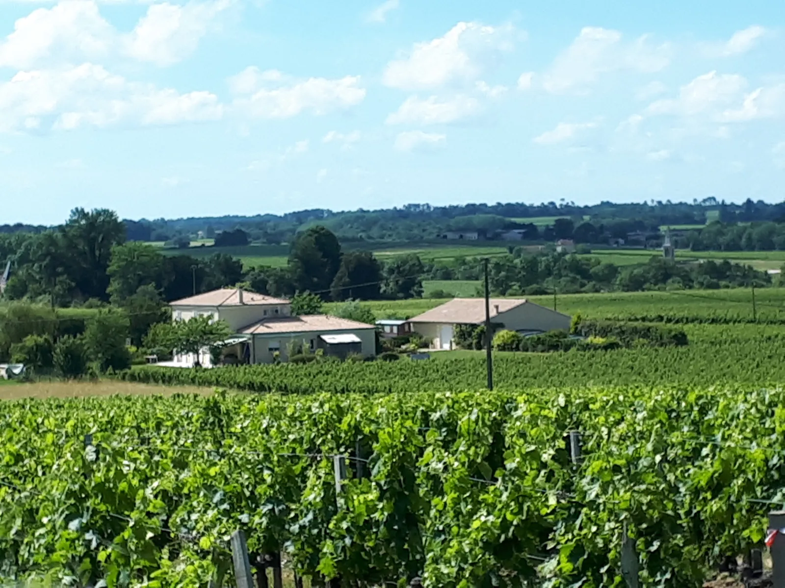 La Roulotte de Glorit à Pugnac, photo 5