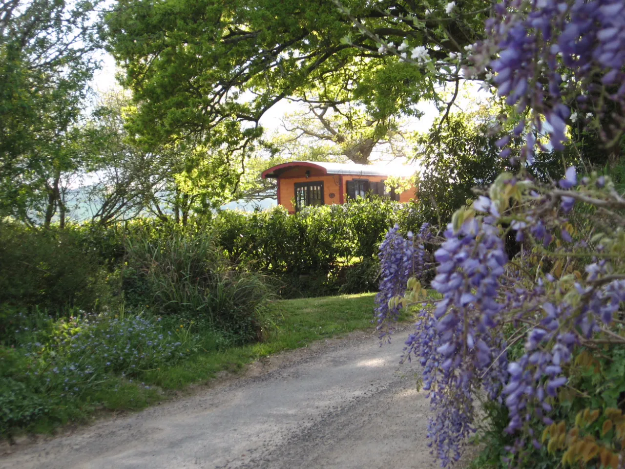 La Roulotte de Julie à Saint-Thurien, photo 5