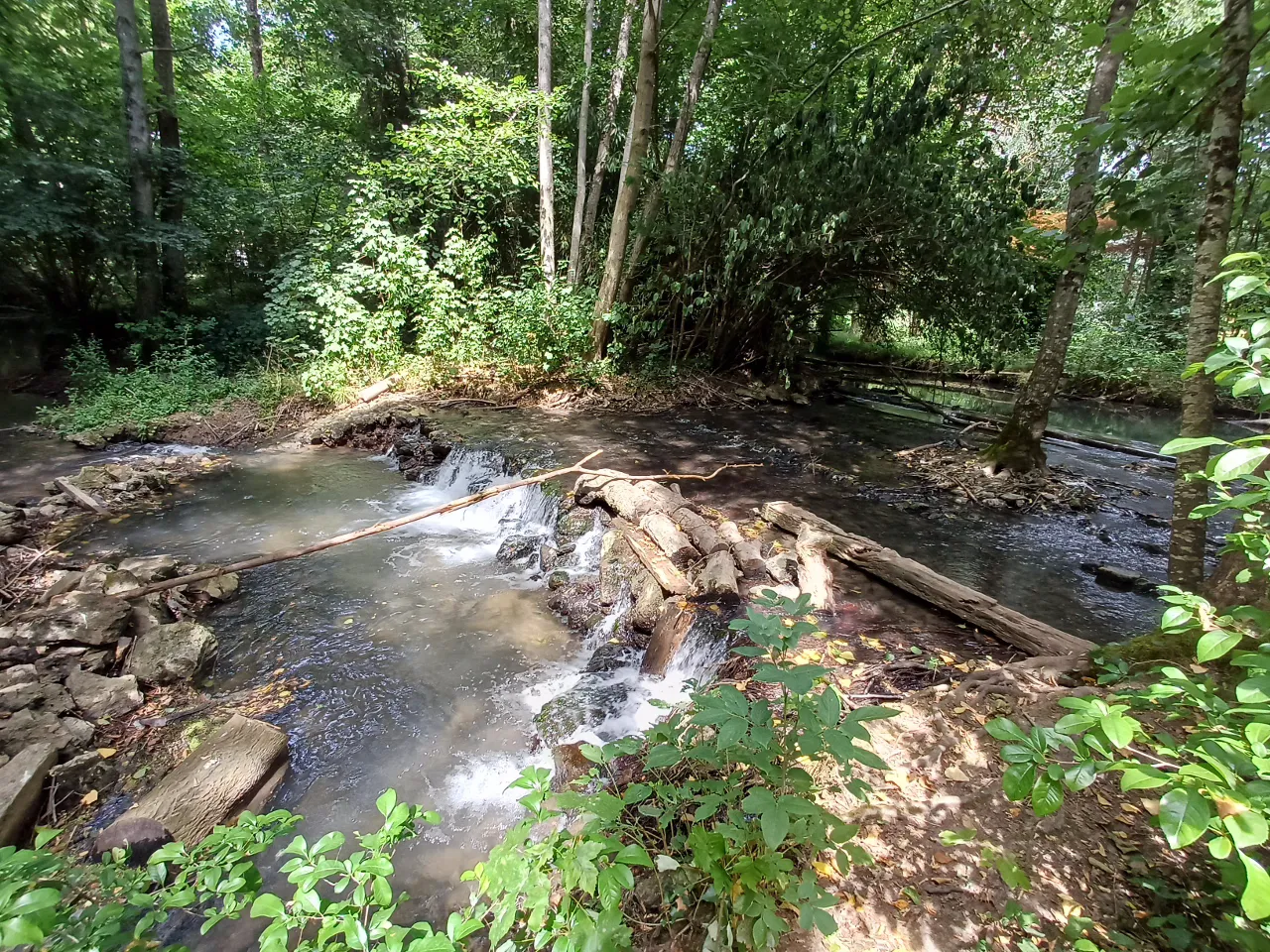 La Roulotte de l'Aubetin à Saint-Augustin, photo 4