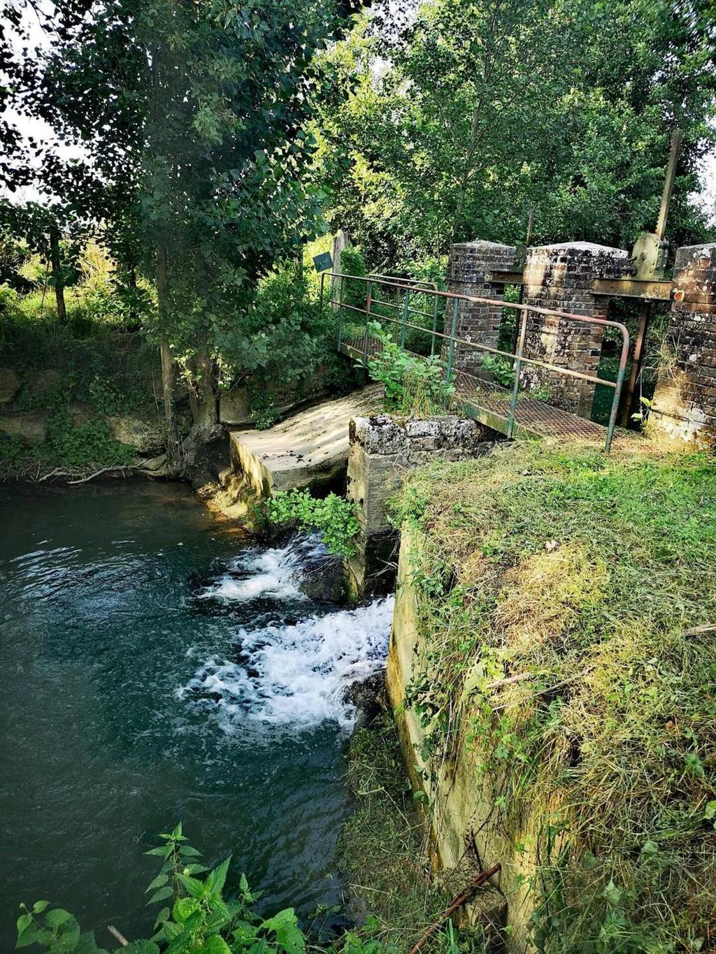 La roulotte de l'étang à Chessy-les-Prés, photo 3