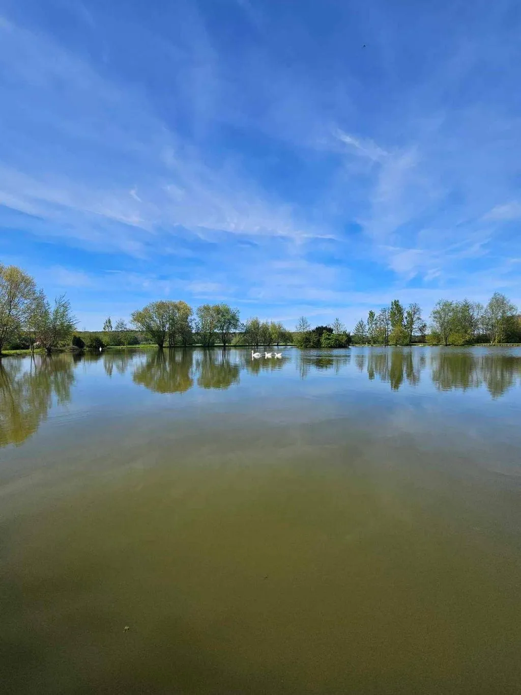 La roulotte de l'étang à Chessy-les-Prés, photo 6