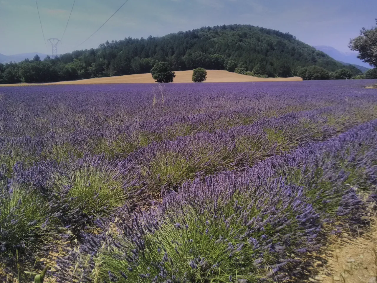 La roulotte de la Croix à Entrepierres, photo 4