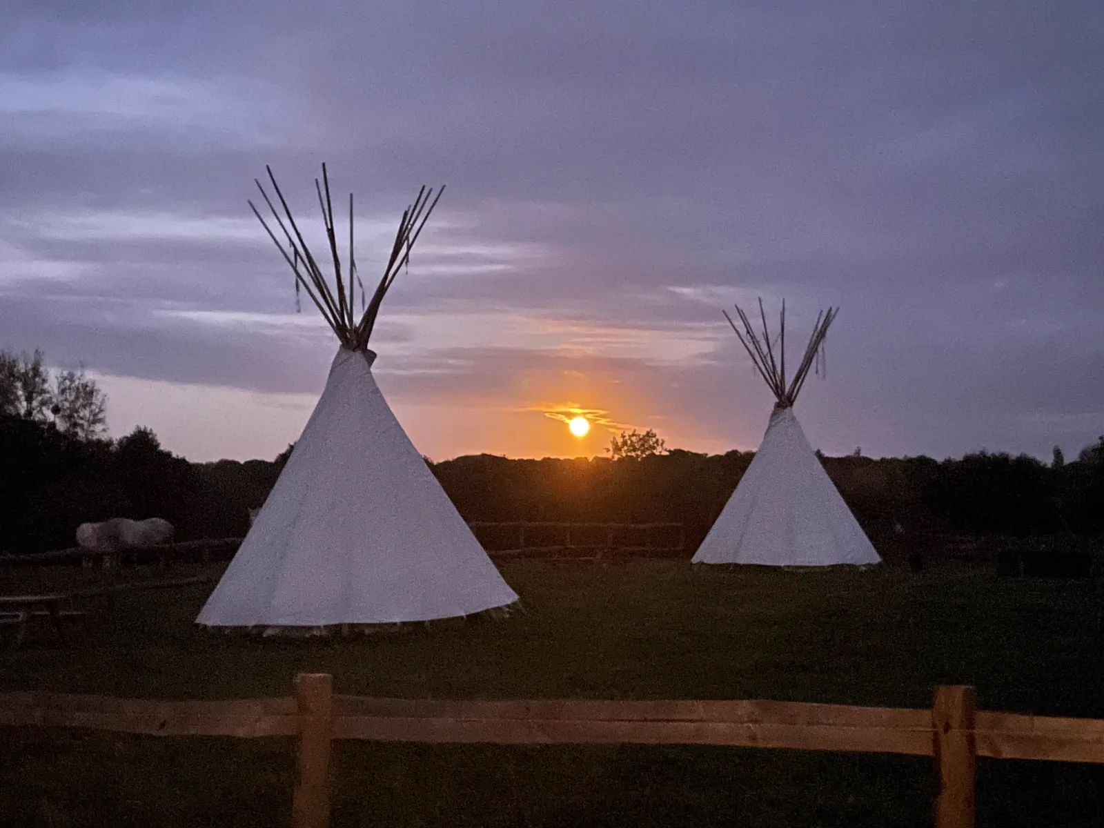 Roulotte de la ferme Terra-Tipike à Trébry, photo 5