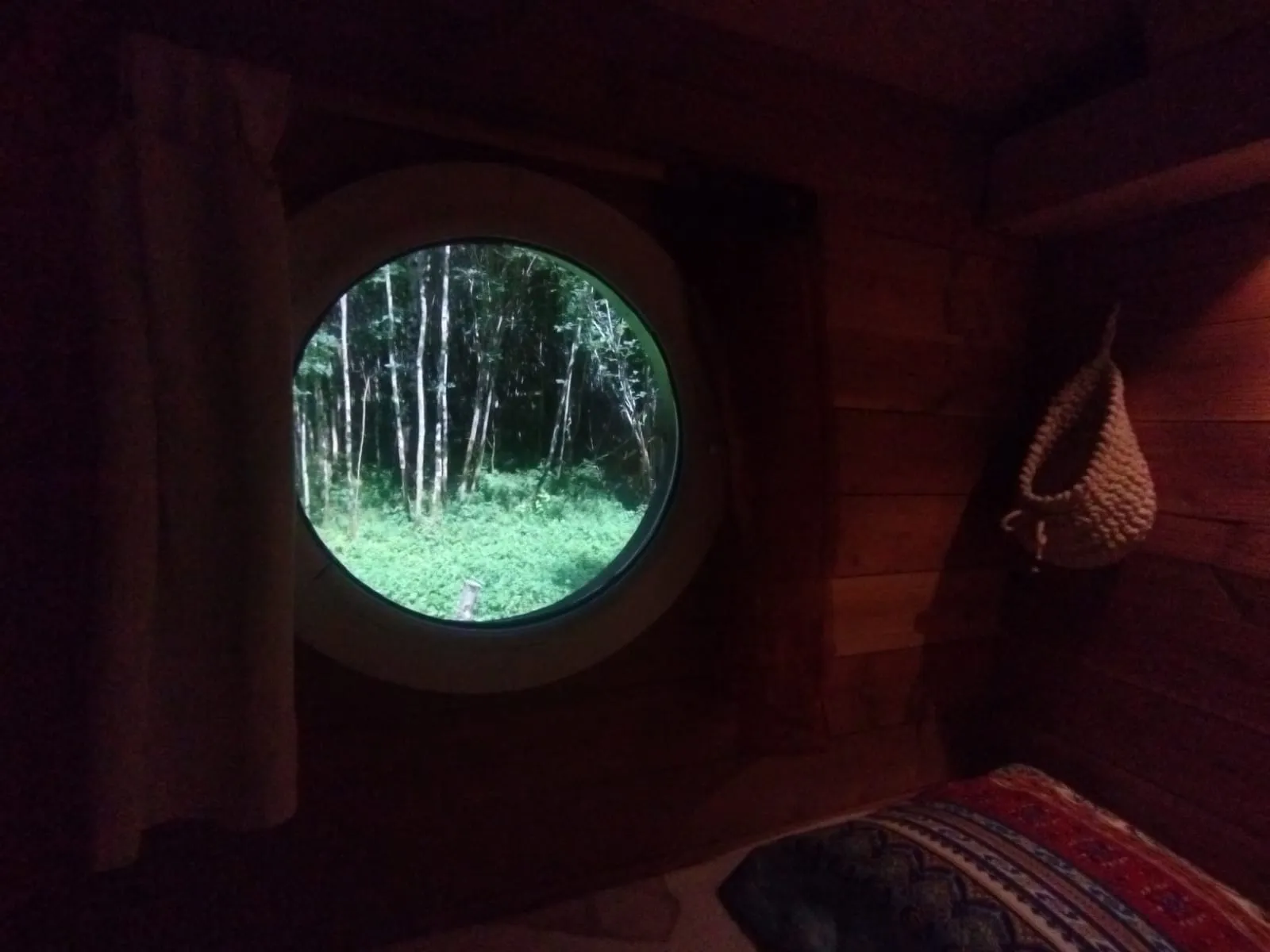 Roulotte de la forêt Terra Bosca à Cambounès, photo 7