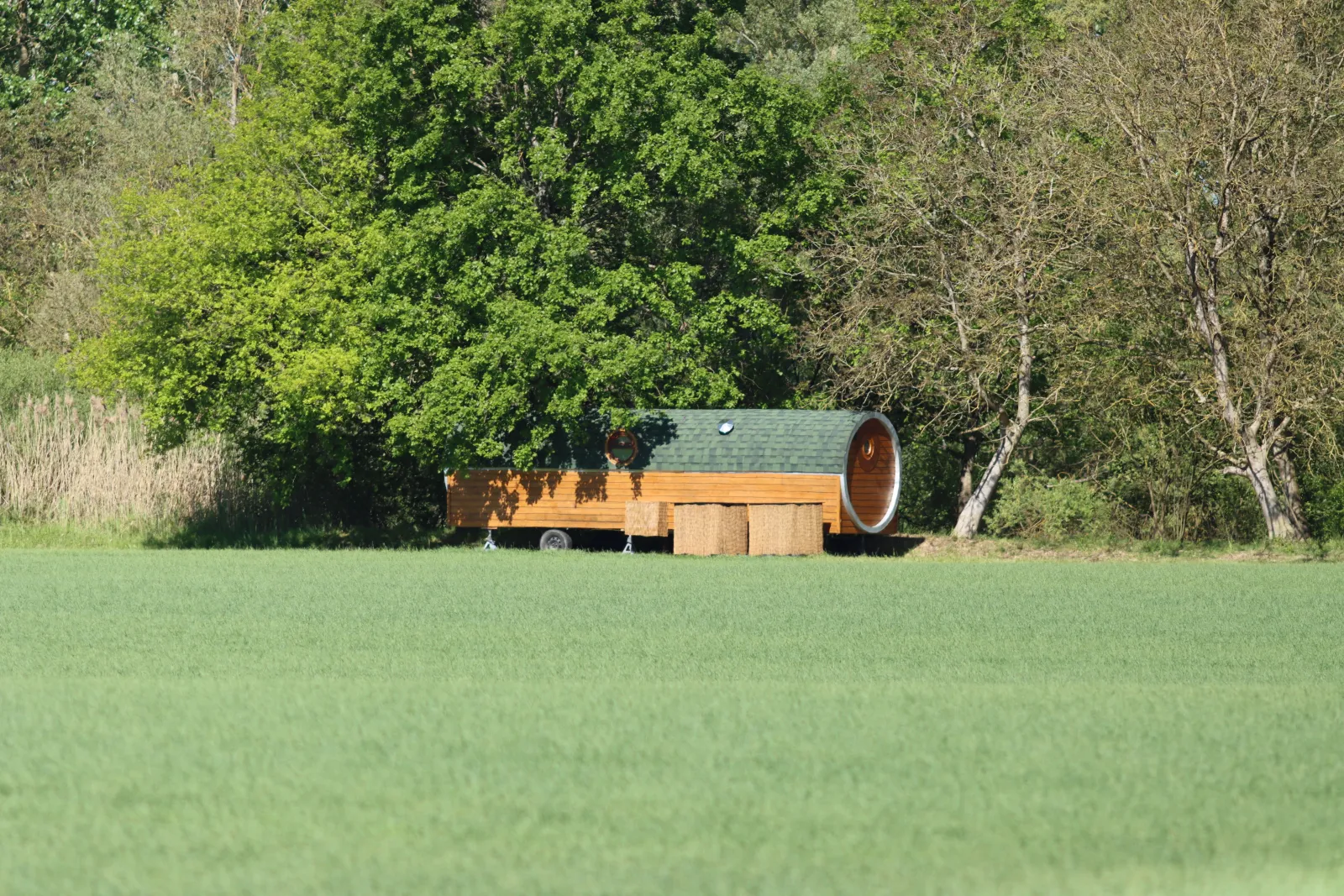 La roulotte de la magicienne, roulotte à Brienon-sur-Armançon