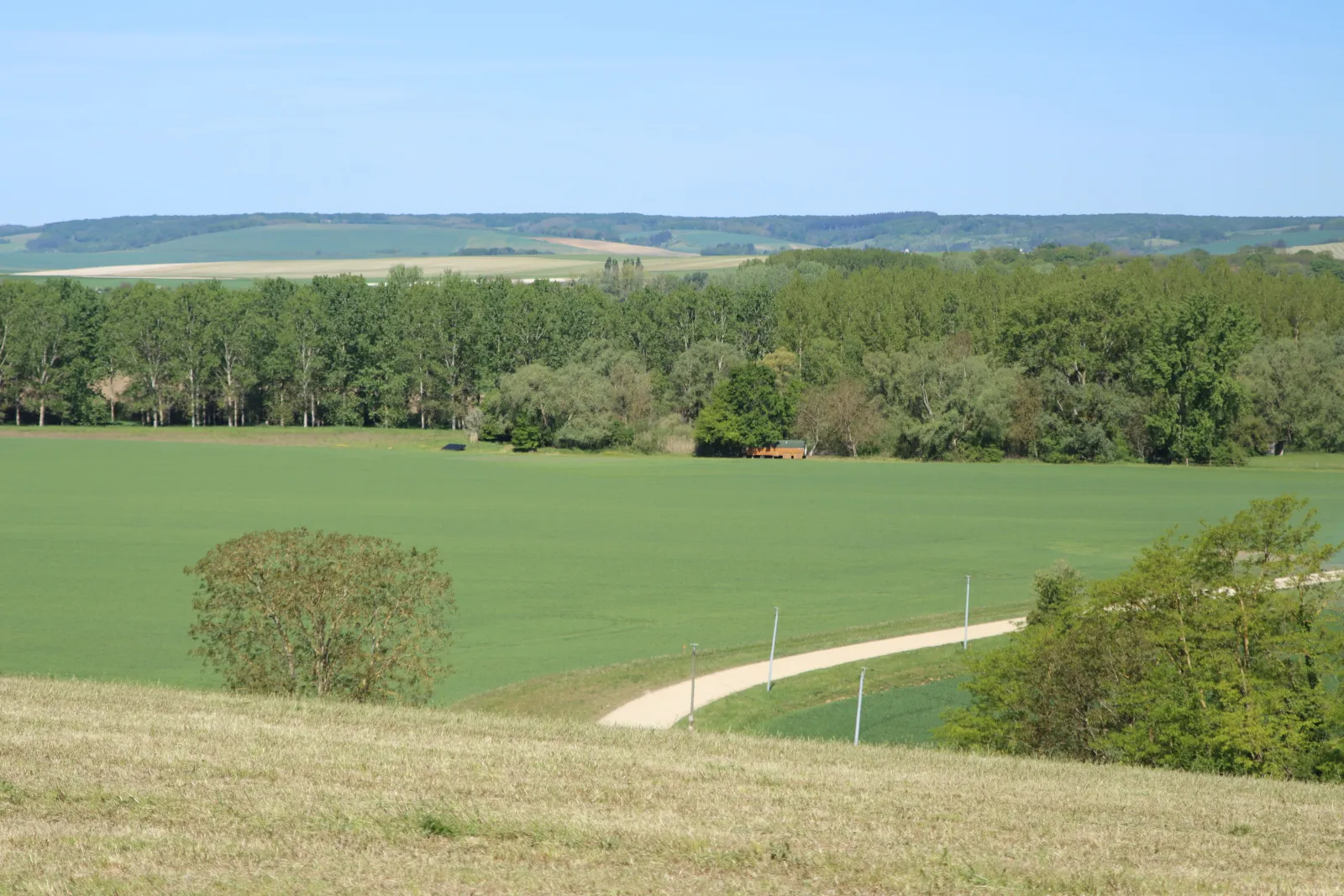 La roulotte de la magicienne à Brienon-sur-Armançon, photo 2