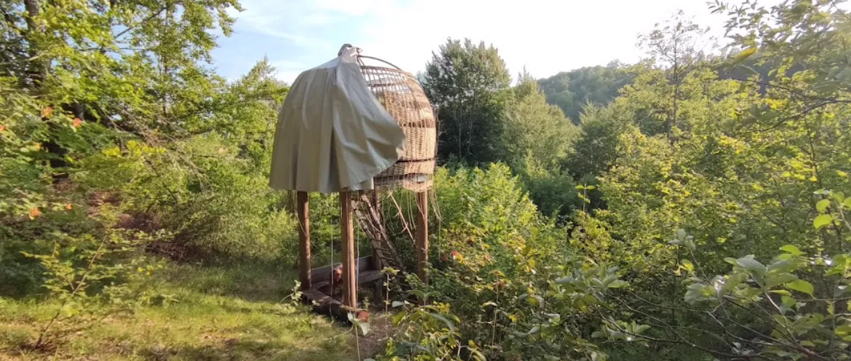Roulotte des Bois, Chemins de Traverse à Auberive, photo 6