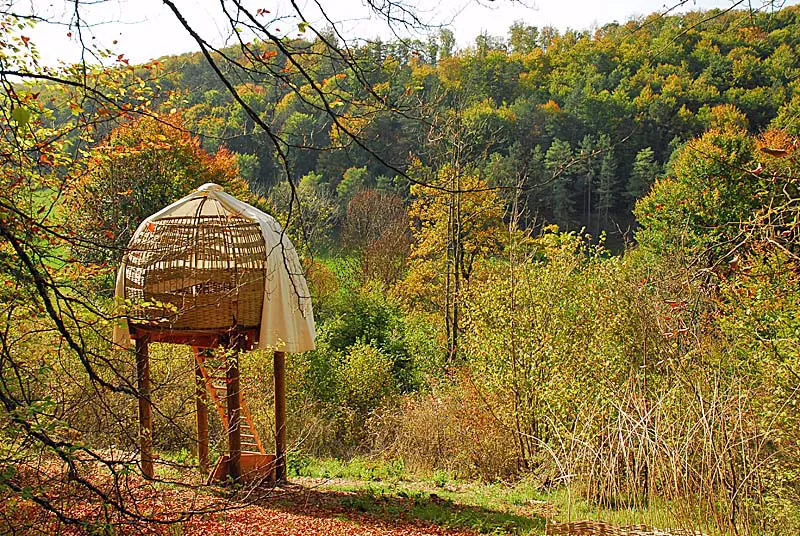 Roulotte des Bois, Chemins de Traverse à Auberive, photo 7