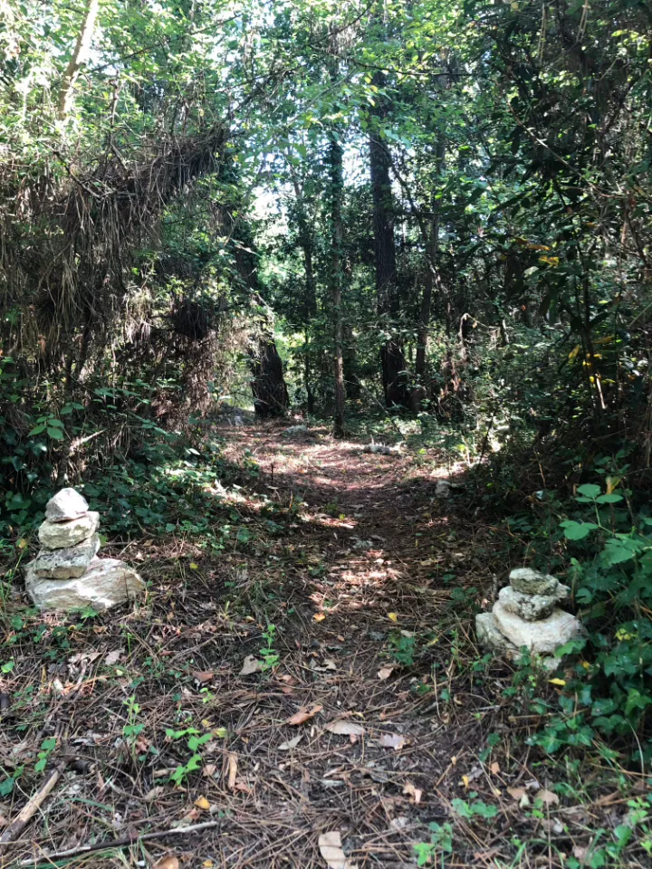 La Roulotte des bois d'Oléron à Le Château-d'Oléron, photo 2