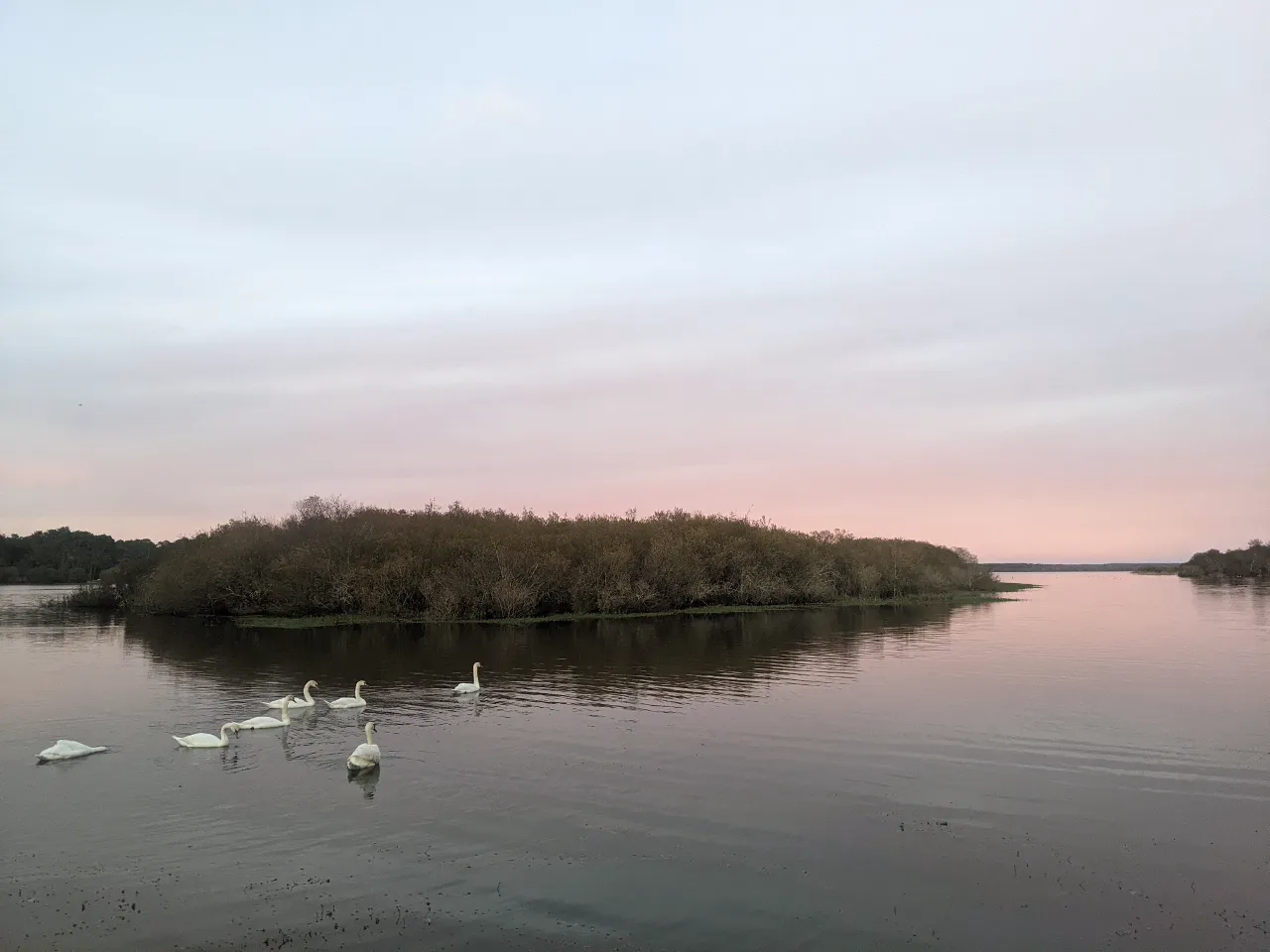 Roulotte du Champ des Pirates à Mimizan, photo 6
