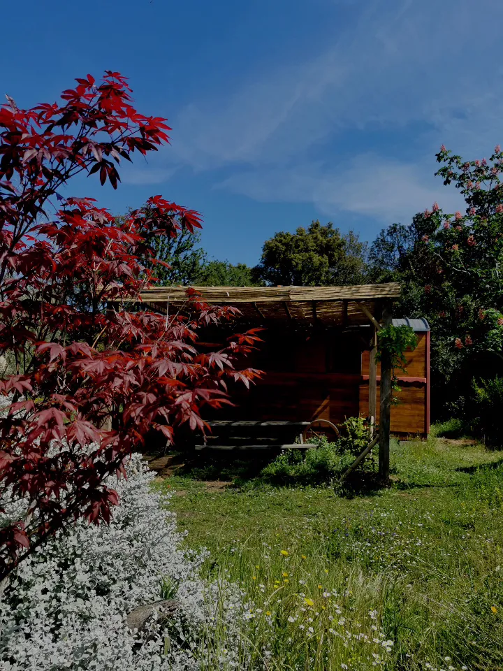 Roulotte du ranch de Laurence à Olmeta-di-Tuda, photo 2