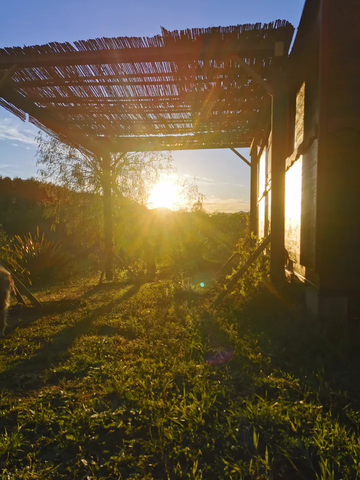 Roulotte du ranch de Laurence à Olmeta-di-Tuda, photo 7
