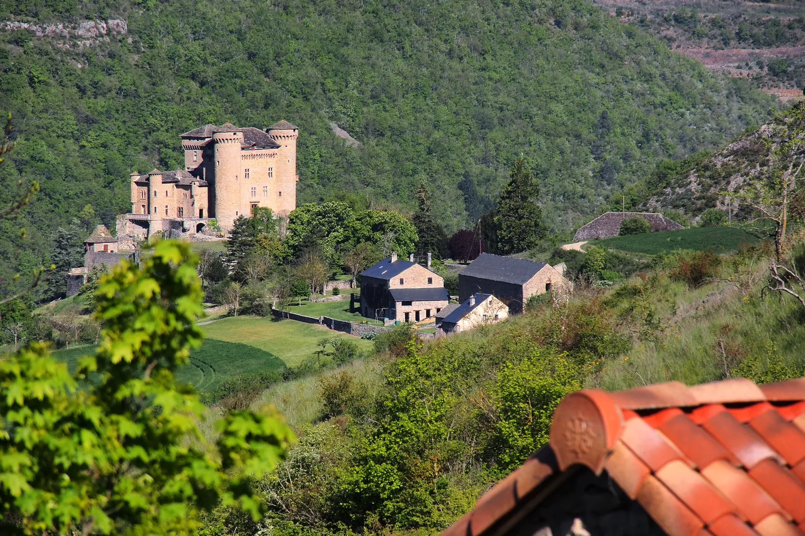 Roulotte Emma du Gîte de Cabrières, roulotte à Compeyre