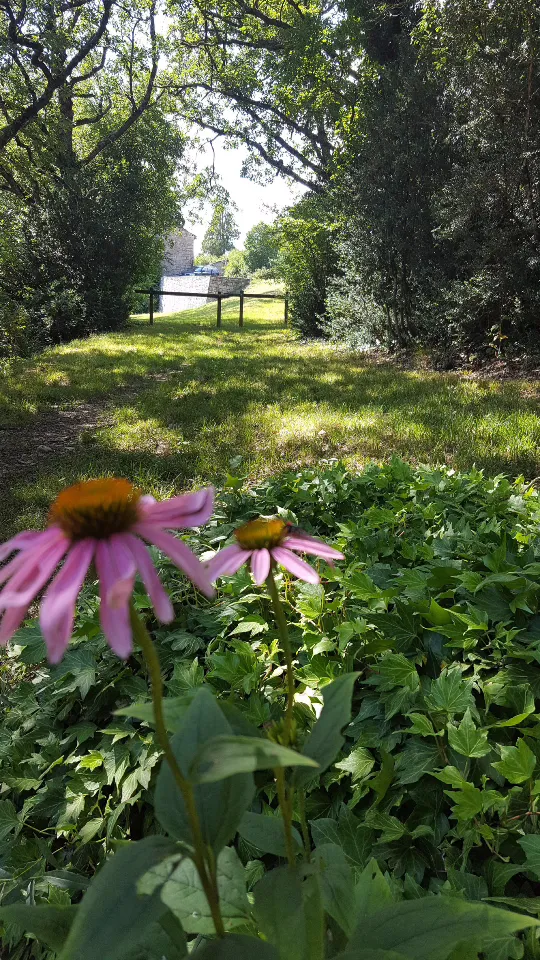 Roulotte Emma du Gîte de Cabrières à Compeyre, photo 6