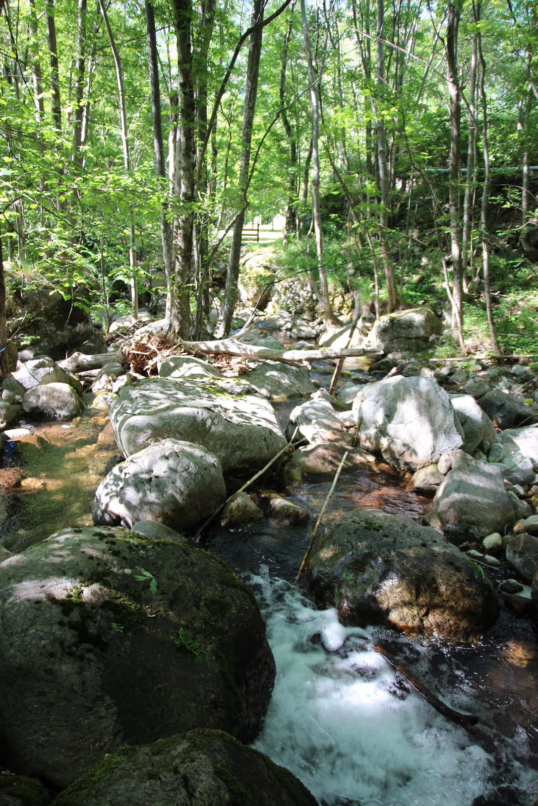 Roulotte en bord de ruisseau à Mayres, photo 4