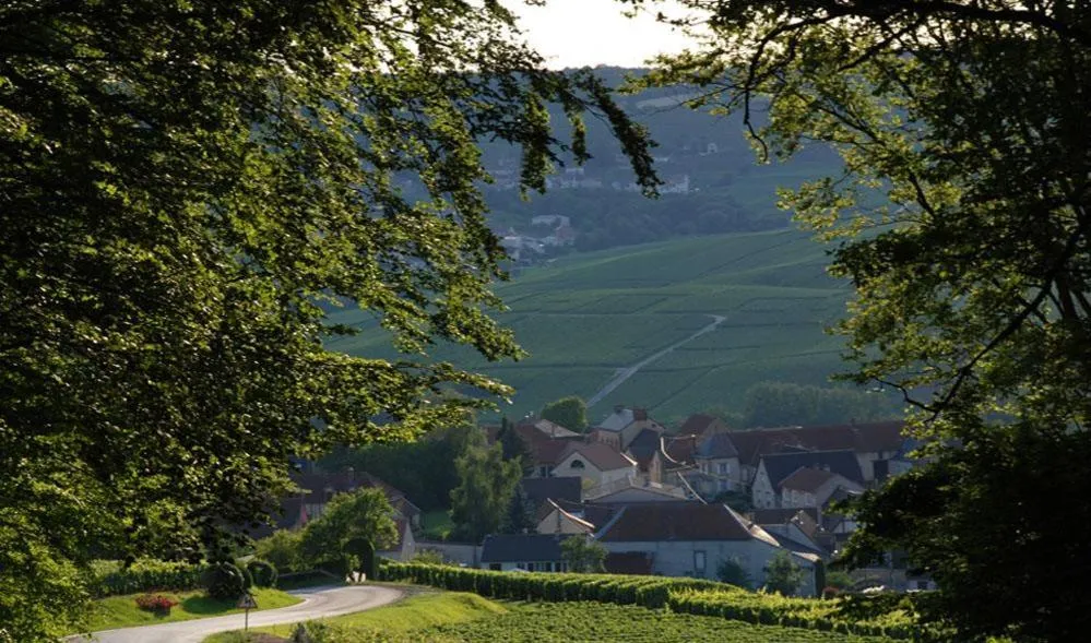 Roulotte la Dominique à Romery, photo 4