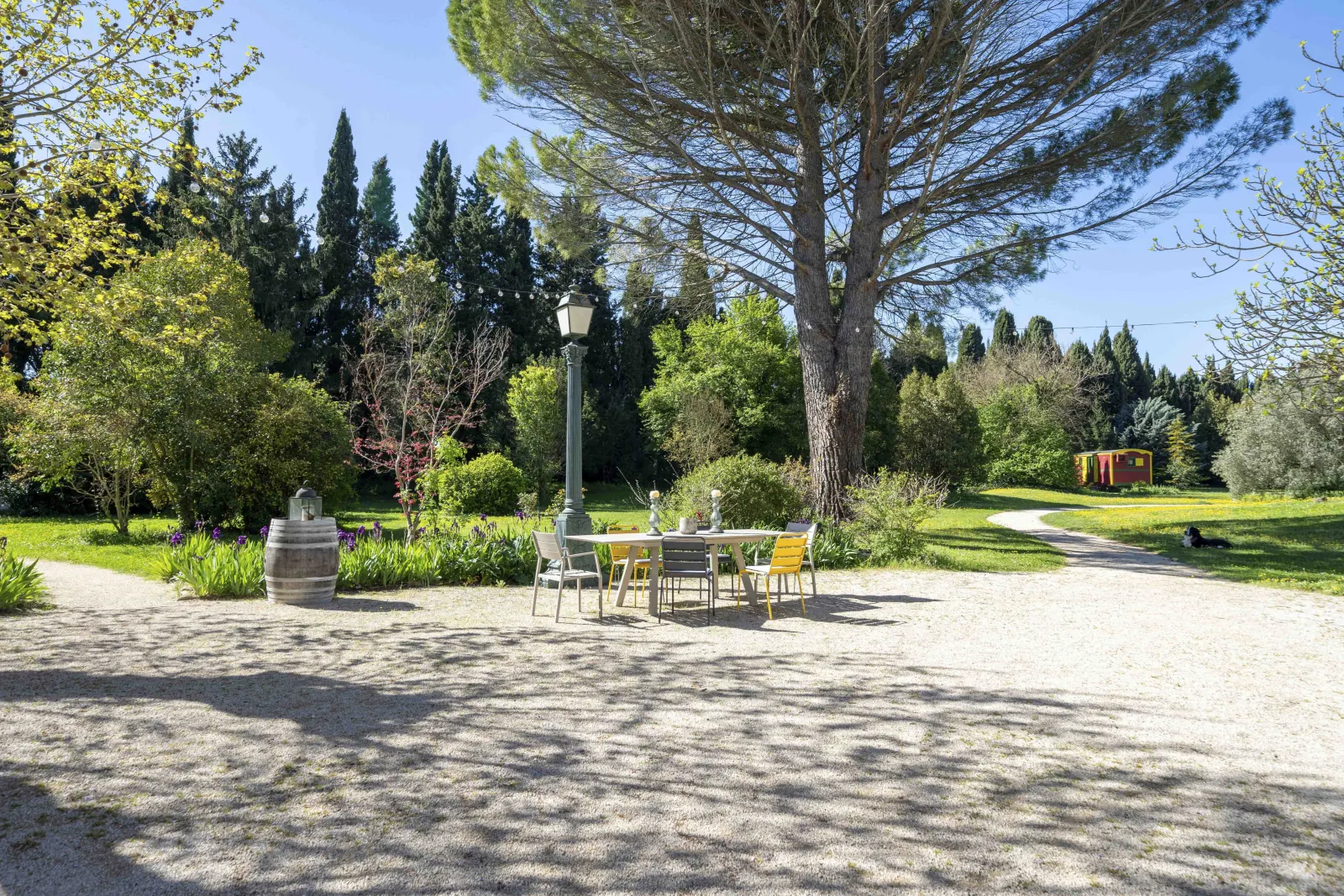 Roulotte Marius de Rémy a dit à Saint-Rémy-de-Provence, photo 4