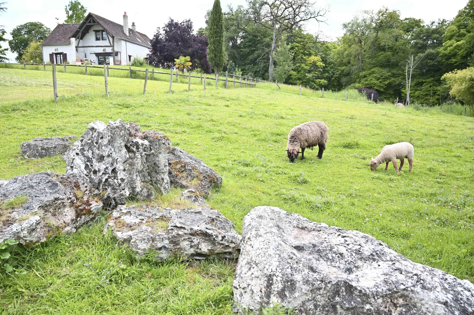 Roulotte Spa la Grenouillère à Descartes, photo 6