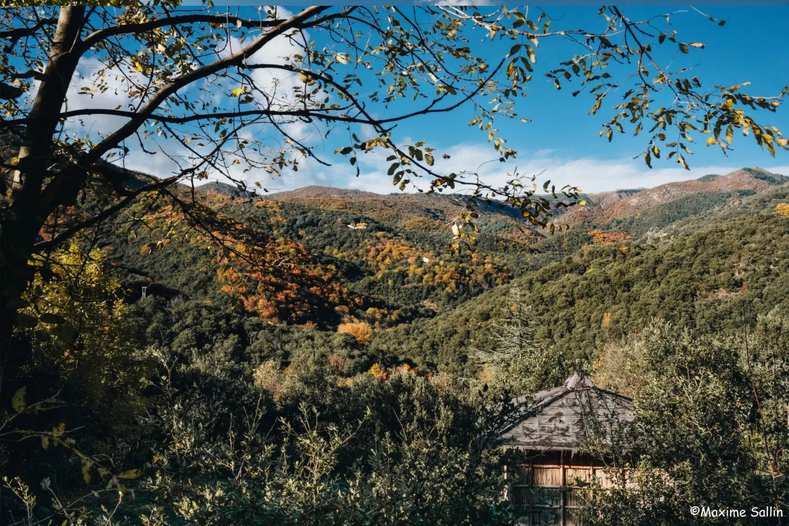 Roulotte tzigane de Lascoutch à Soudorgues, photo 5