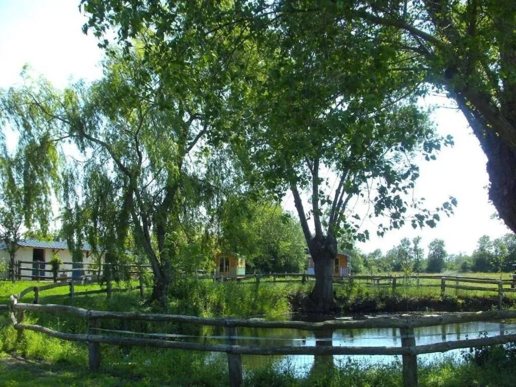 Les Roulottes de la Brauderie à Les Hauts-d'Anjou, photo 3