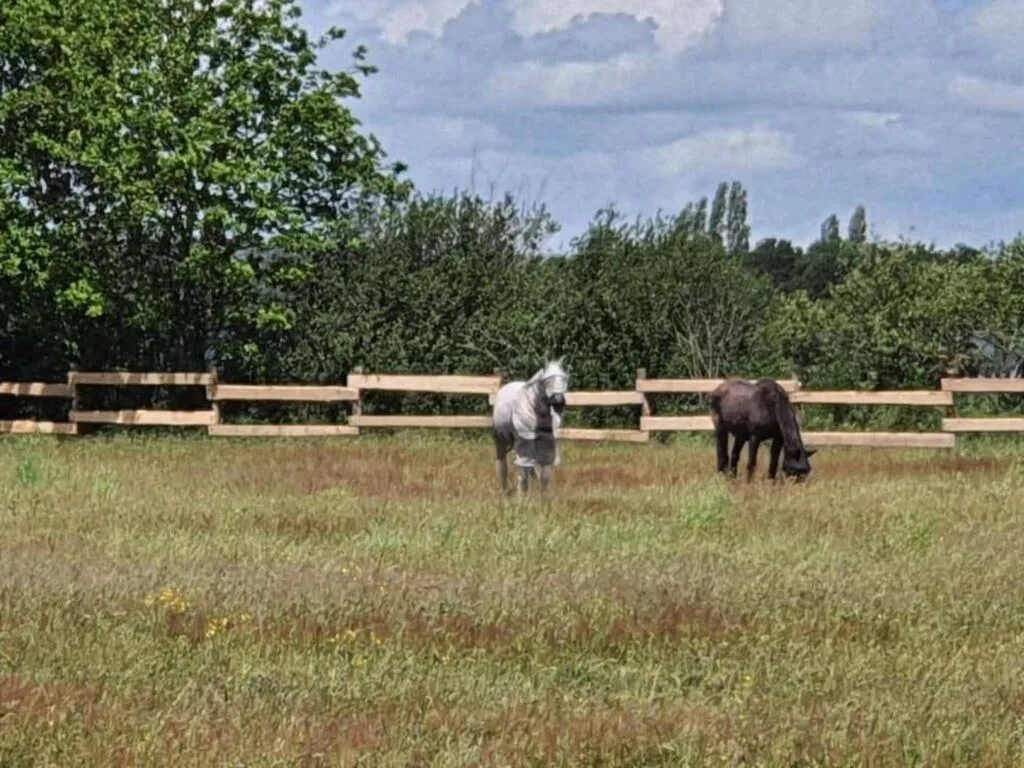 Les Roulottes de la Brauderie à Les Hauts-d'Anjou, photo 4