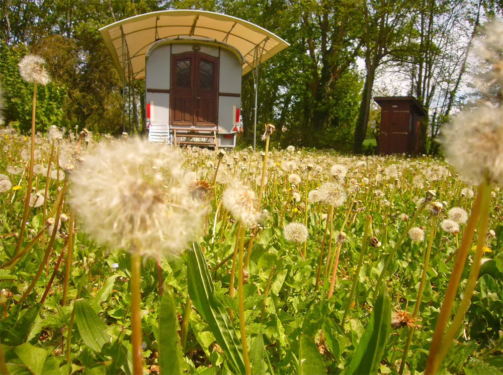 Les Roulottes de la Gare à Guillon-Terre-Plaine, photo 2
