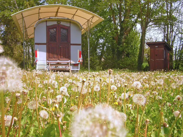 Les Roulottes de la Gare à Guillon-Terre-Plaine, photo 3