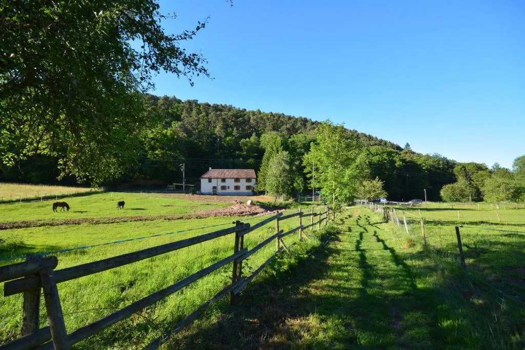 Roulottes Django et Bella à Gueberschwihr, photo 6
