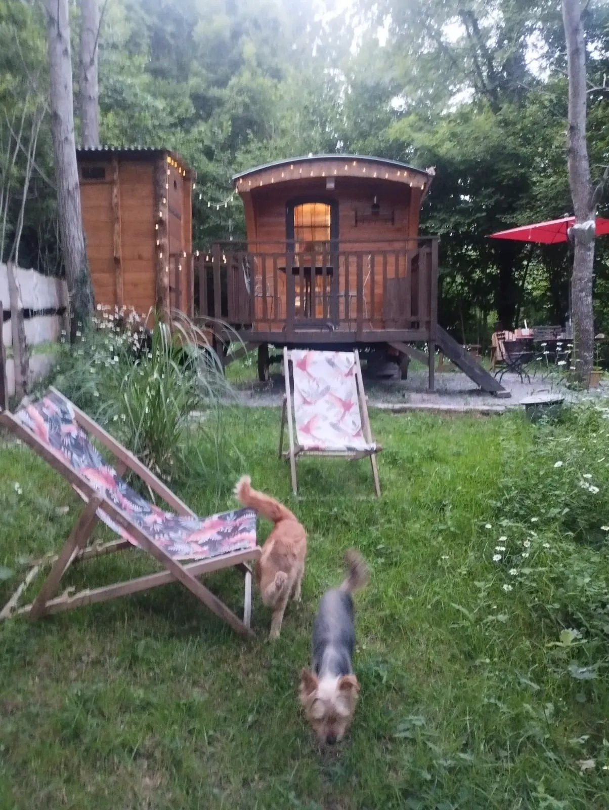 Terra Bosca, gîte et roulotte à Cambounès, photo 4